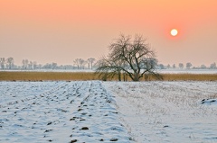 Sonnenuntergang am Moosgraben bei -8°C -- Spaziergang bei -8°C im Norden von Maendlfeld