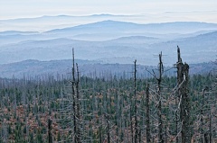 2013 11 01 172817  WBO0242 44 1000 -- Blick auf den bayerischen Wald