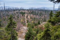 Der Lusen im Bayrischen Wald -- Der Lusen im Bayrischen Wald