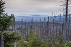 2013-11-01 Bayrischer Wald