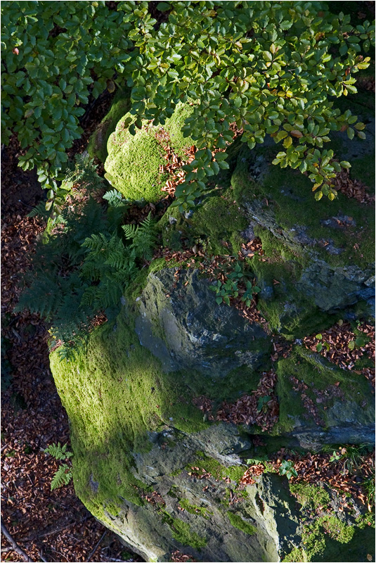 2011_10_23_Canon EOS 7D_IMG_5888_WEB.jpg