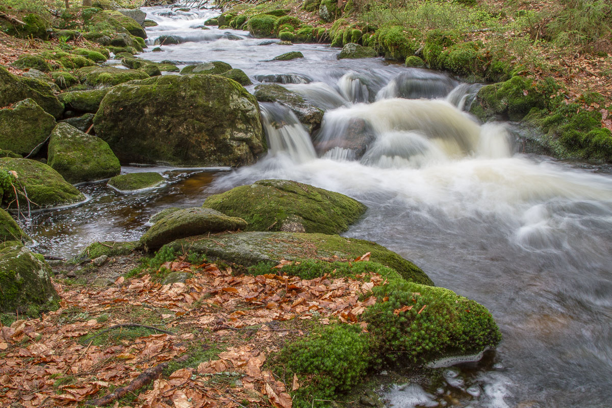 2013_05_04_1143_Canon EOS 7D_IMG_6409_WEB.jpg