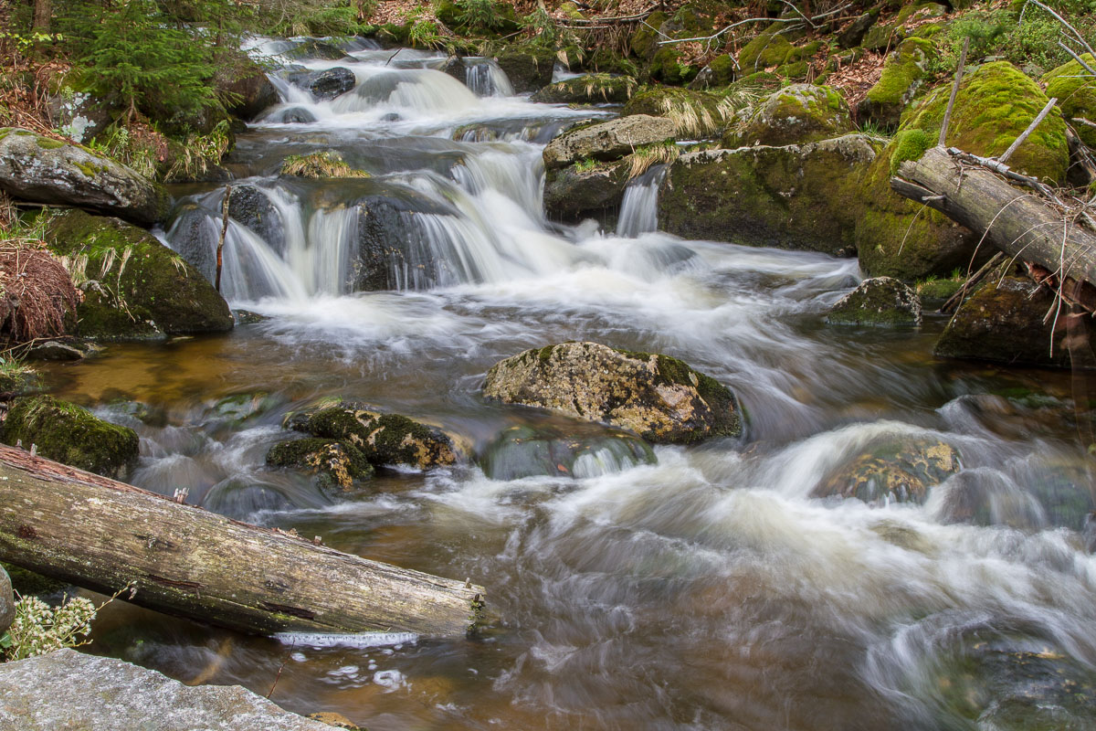 2013_05_04_1204_Canon EOS 7D_IMG_6423_WEB.jpg