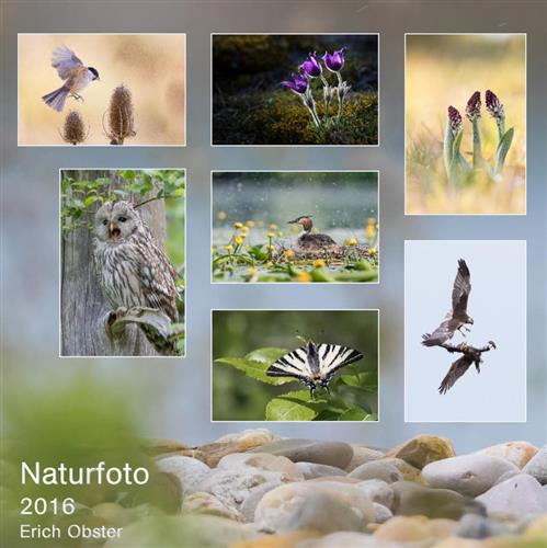 Naturfoto 2016